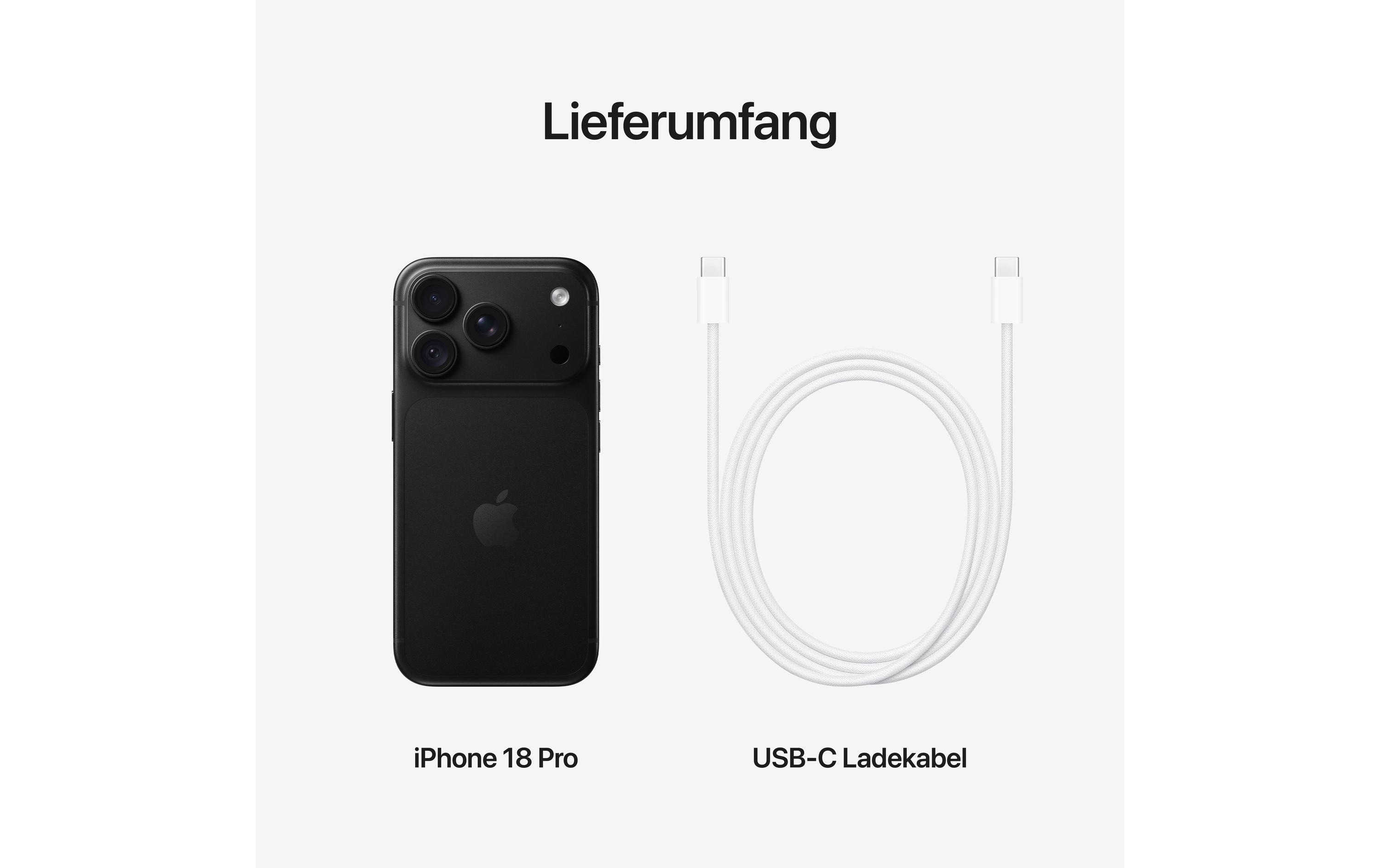 Apple iPhone 18 Pro 1000 GB Schwarz