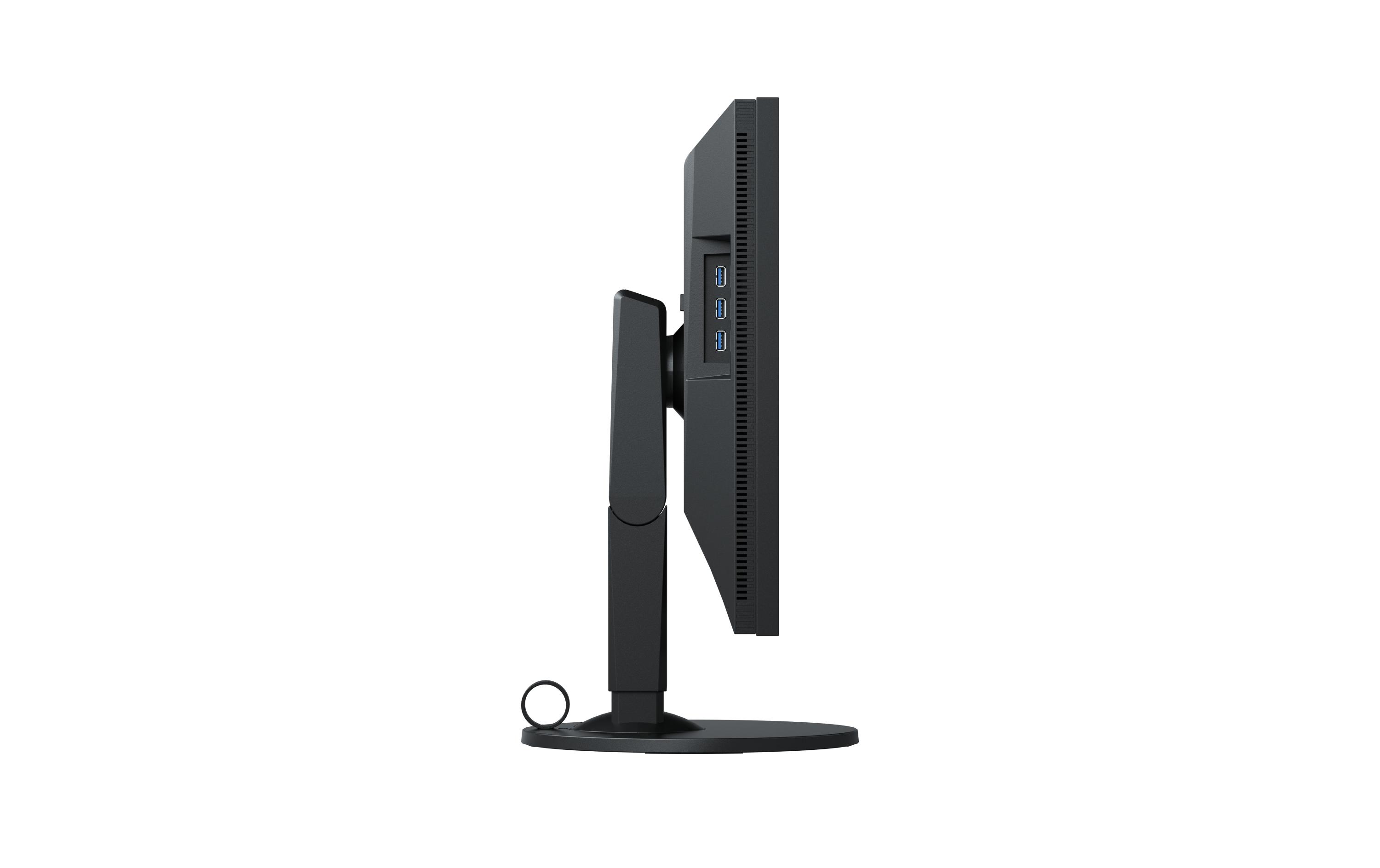 EIZO Monitor CS2410 Swiss Edition