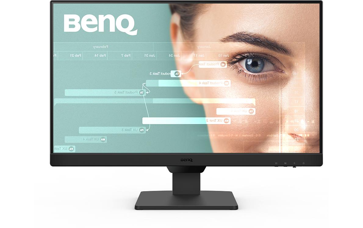 BenQ Monitor GW2490