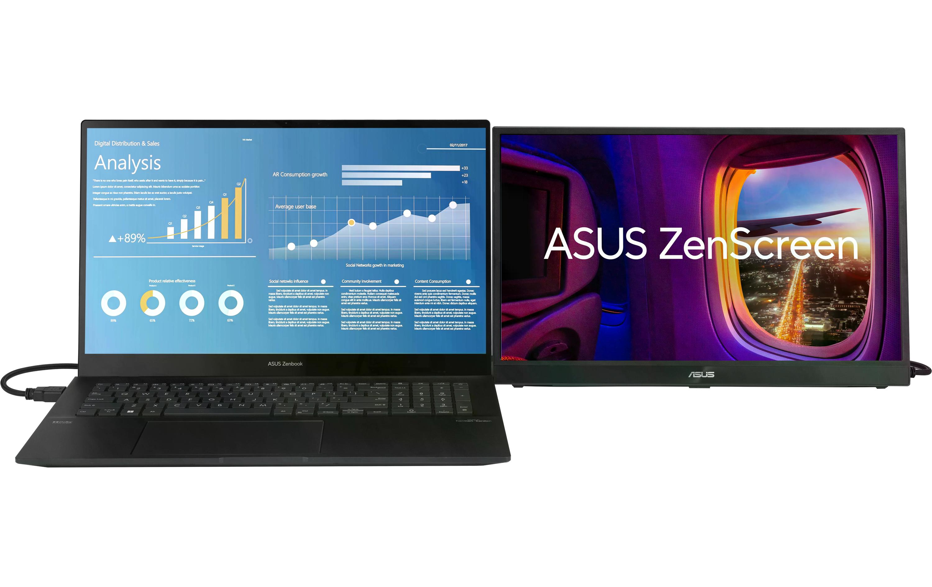 ASUS Monitor ZenScreen MB17AHG