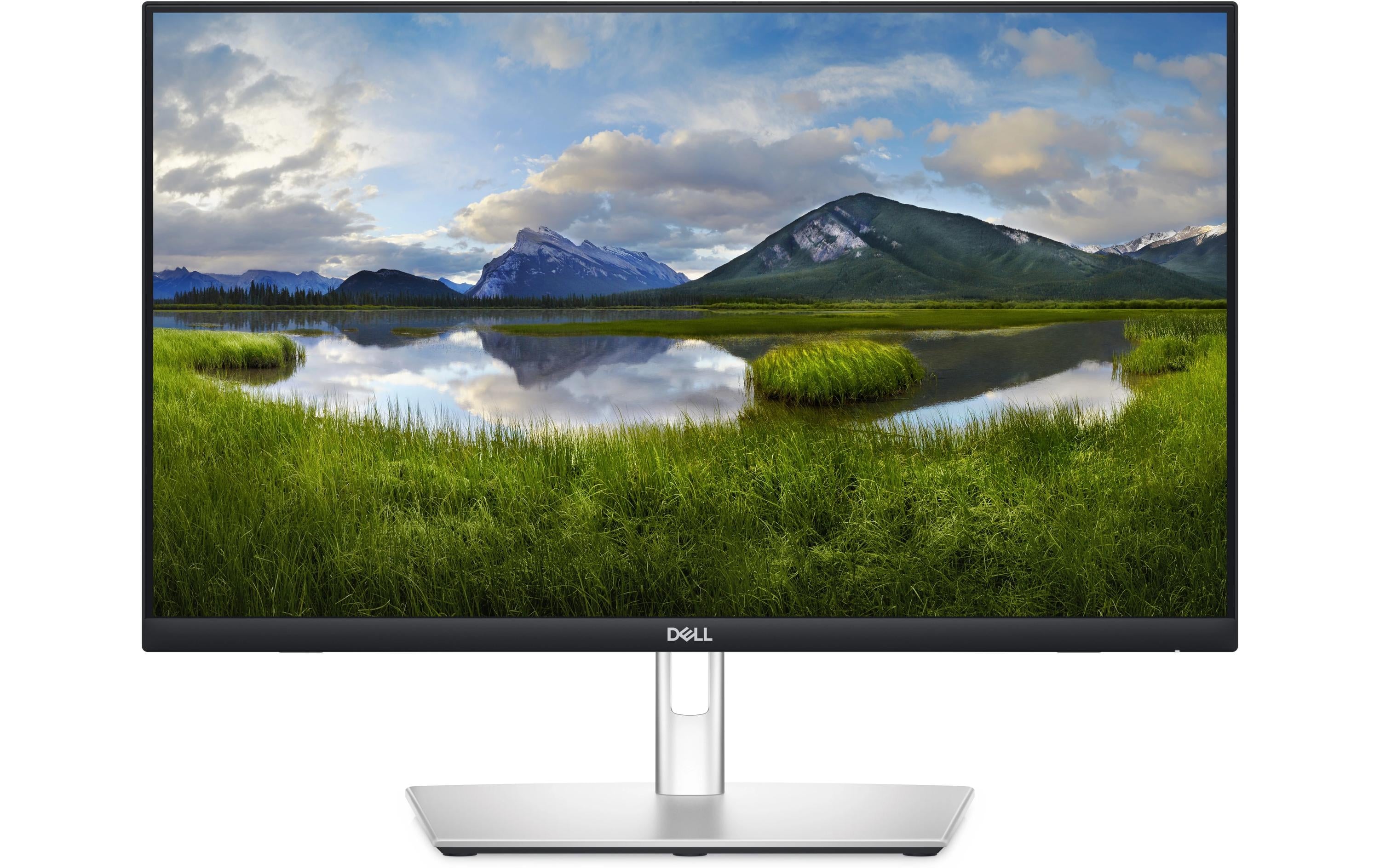 DELL Monitor P2424HT