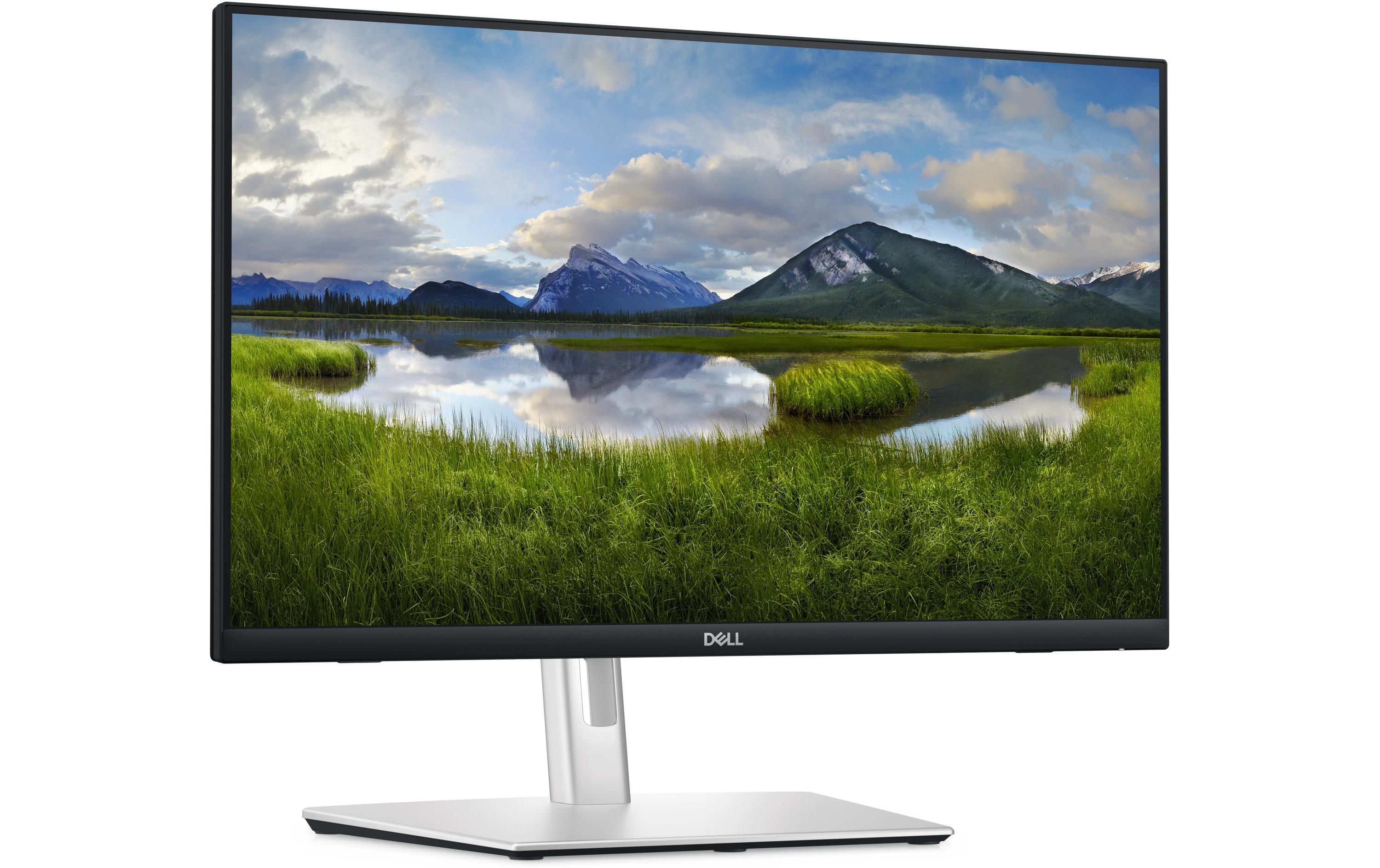DELL Monitor P2424HT