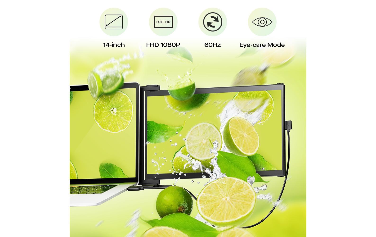 Mobile Pixels Monitor Duex Max DS 14.1