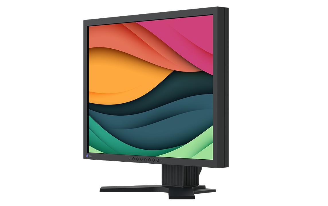 EIZO Monitor FlexScan S2134