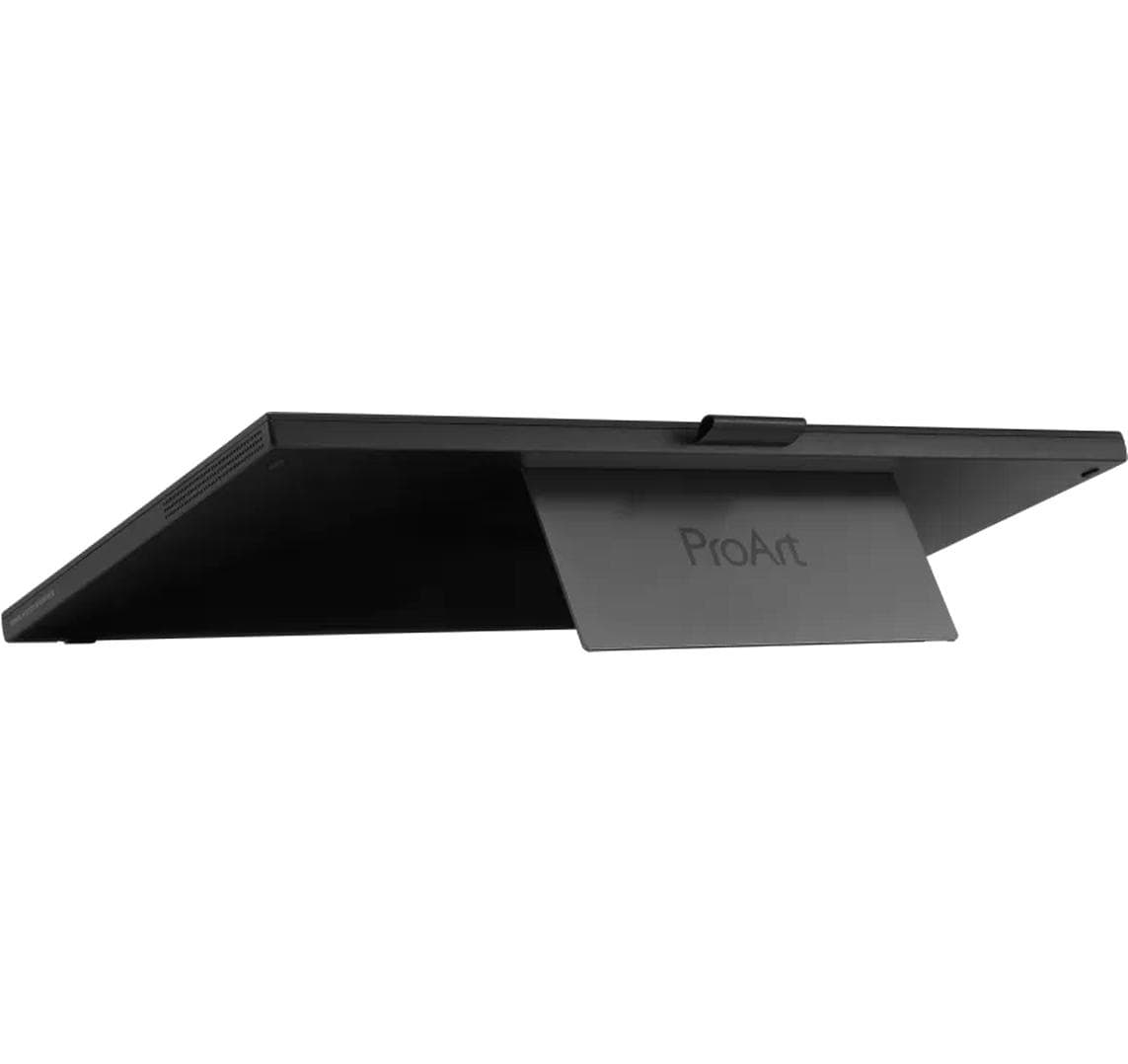 ASUS Monitor ProArt PA169CDV