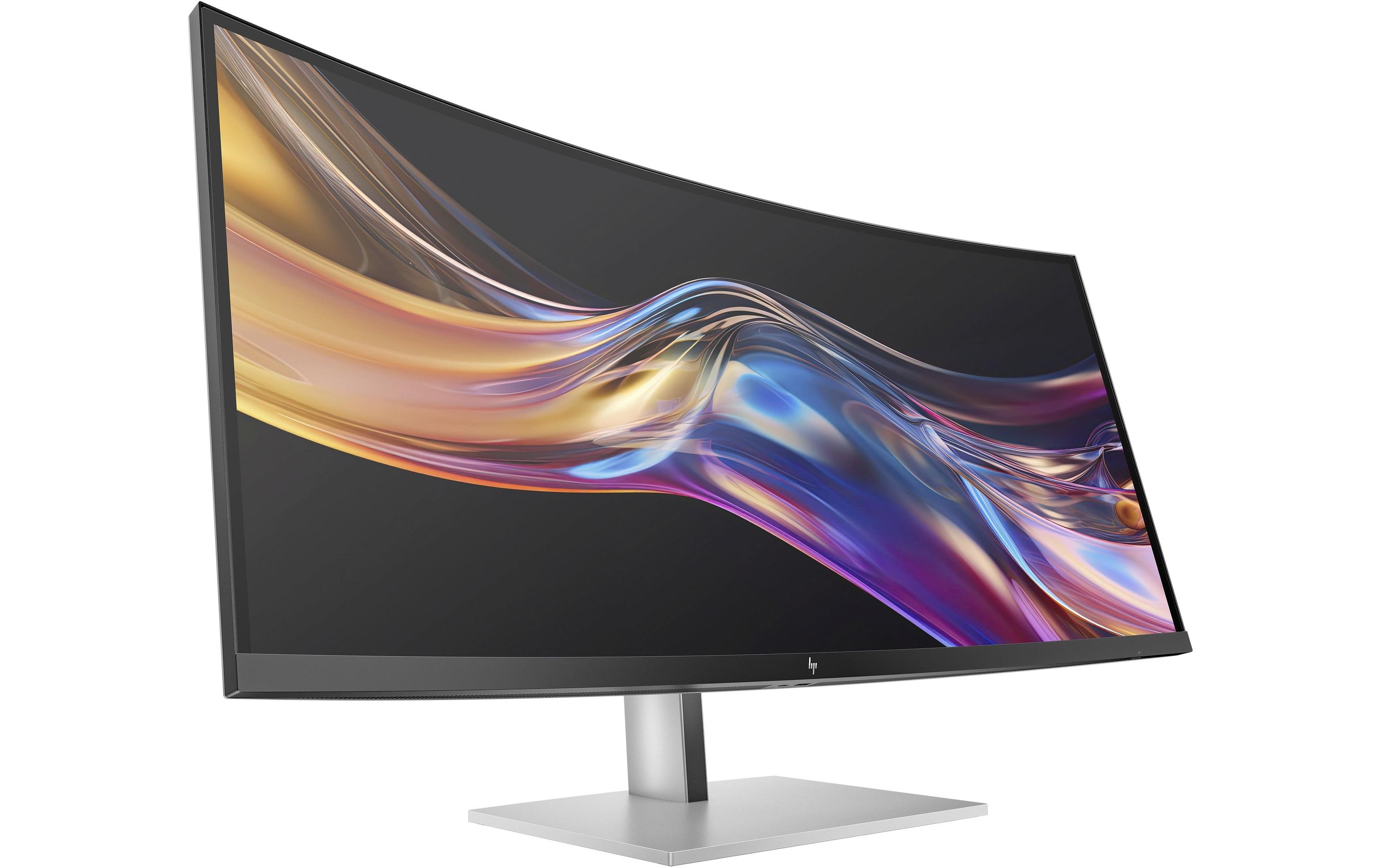 HP Monitor 738pu