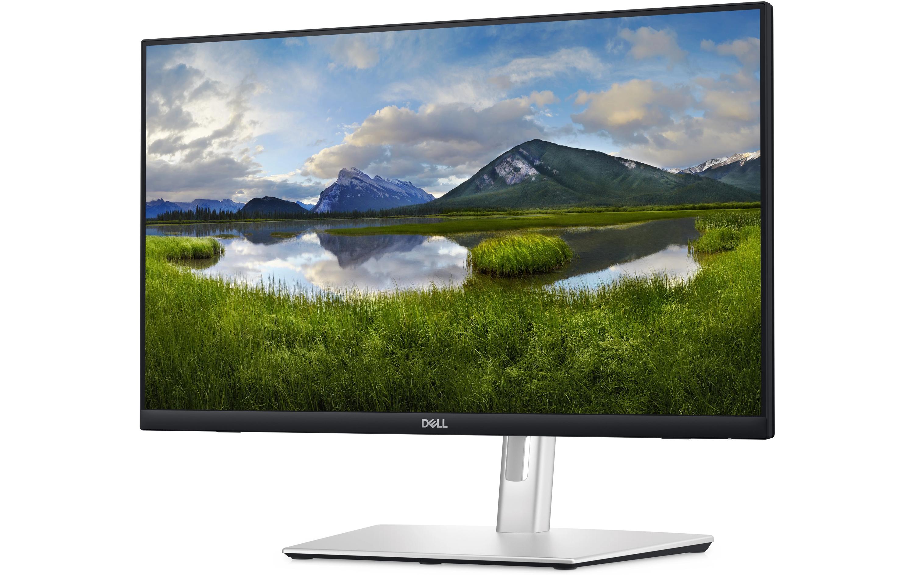 DELL Monitor P2424HT