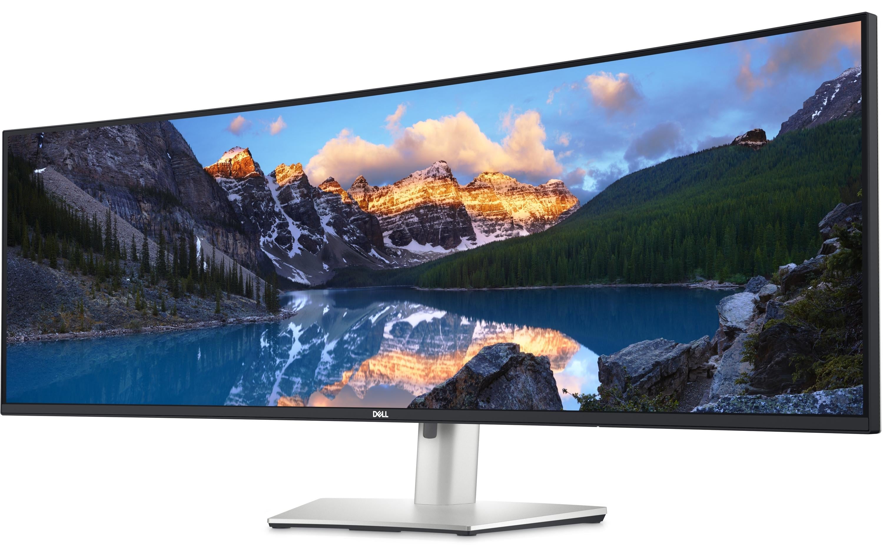 DELL Monitor U4924DW