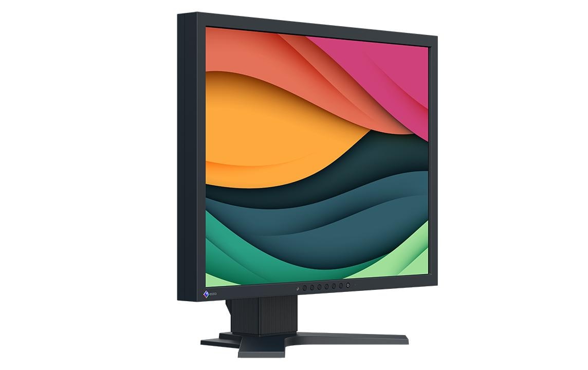 EIZO Monitor FlexScan S2134