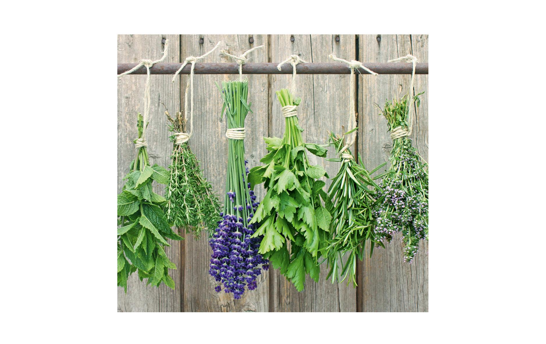 Zeller Present Herdabdeckplatte Kräuter Zeller Present Herdabdeckplatte Kräuter