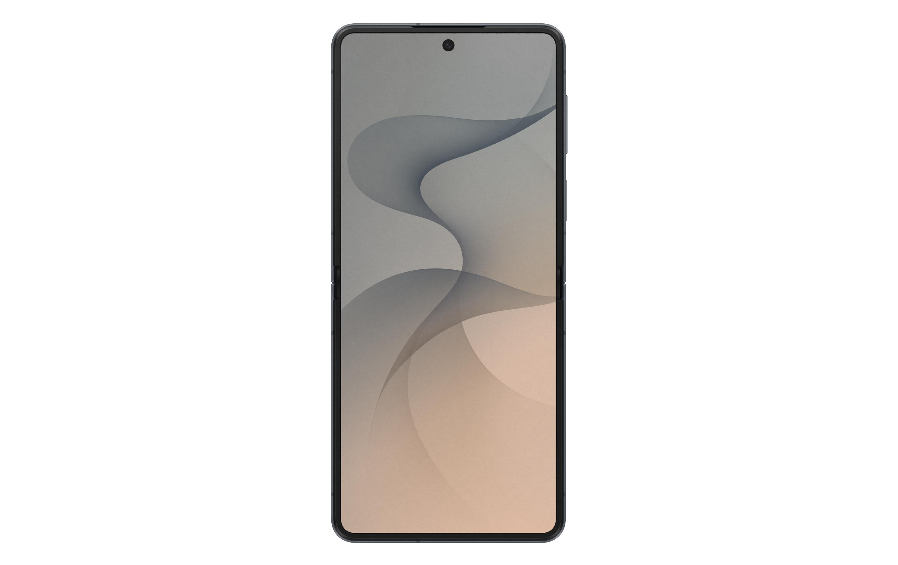 Samsung Galaxy Z Flip8 256 GB (EU-Version) Graphite