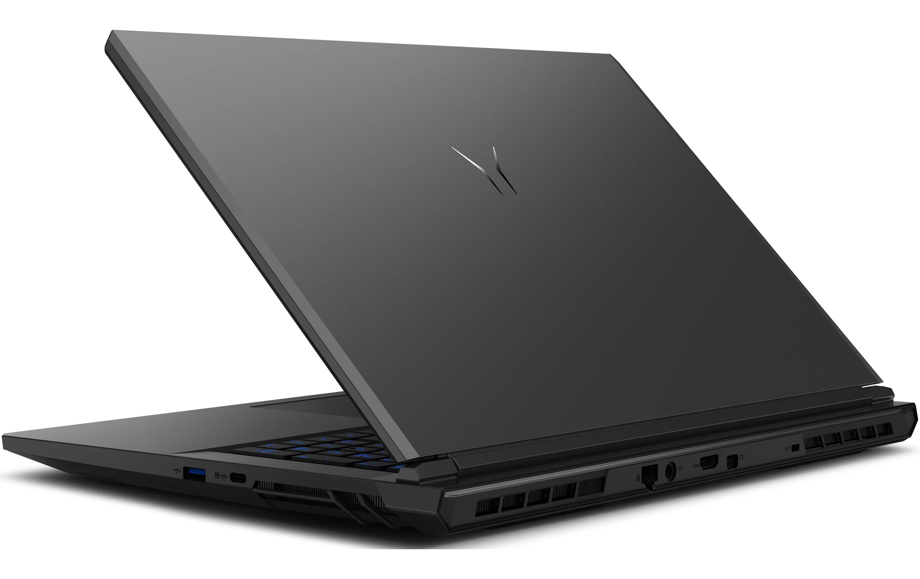 Erazer Notebook Defender 17 P1 (MD62755)