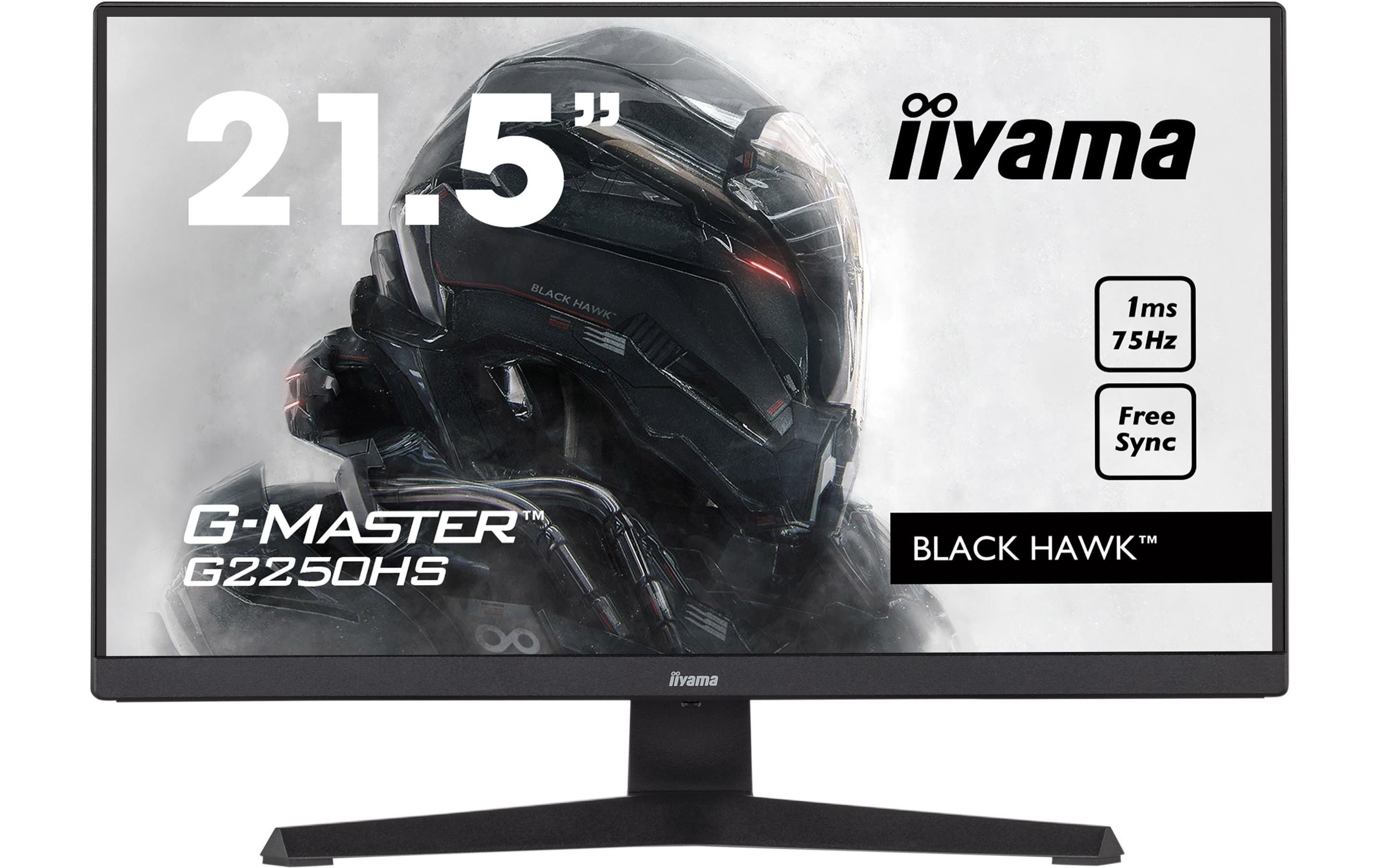 iiyama Monitor G-MASTER G2250HS-B1