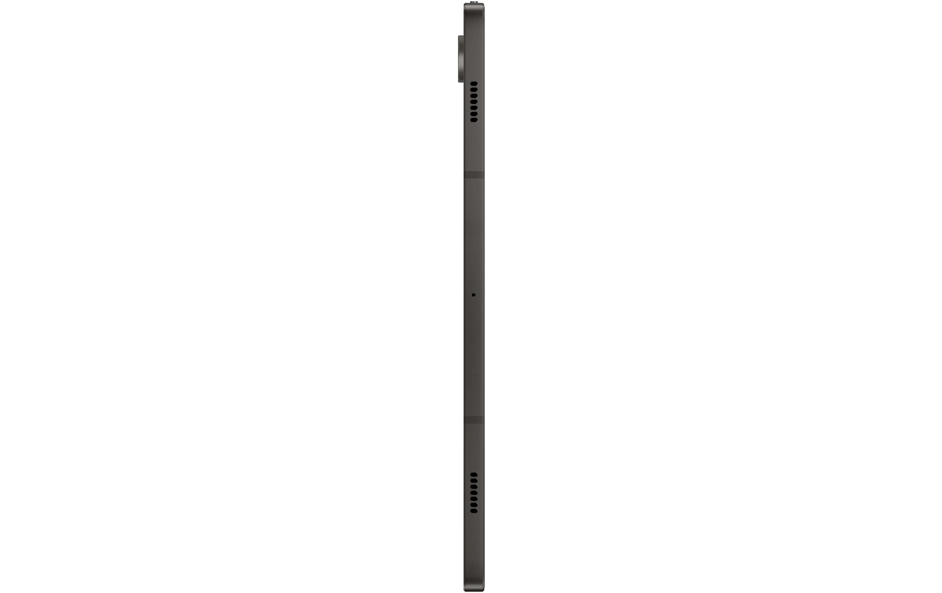 Samsung Galaxy Tab S9 256 GB CH Schwarz